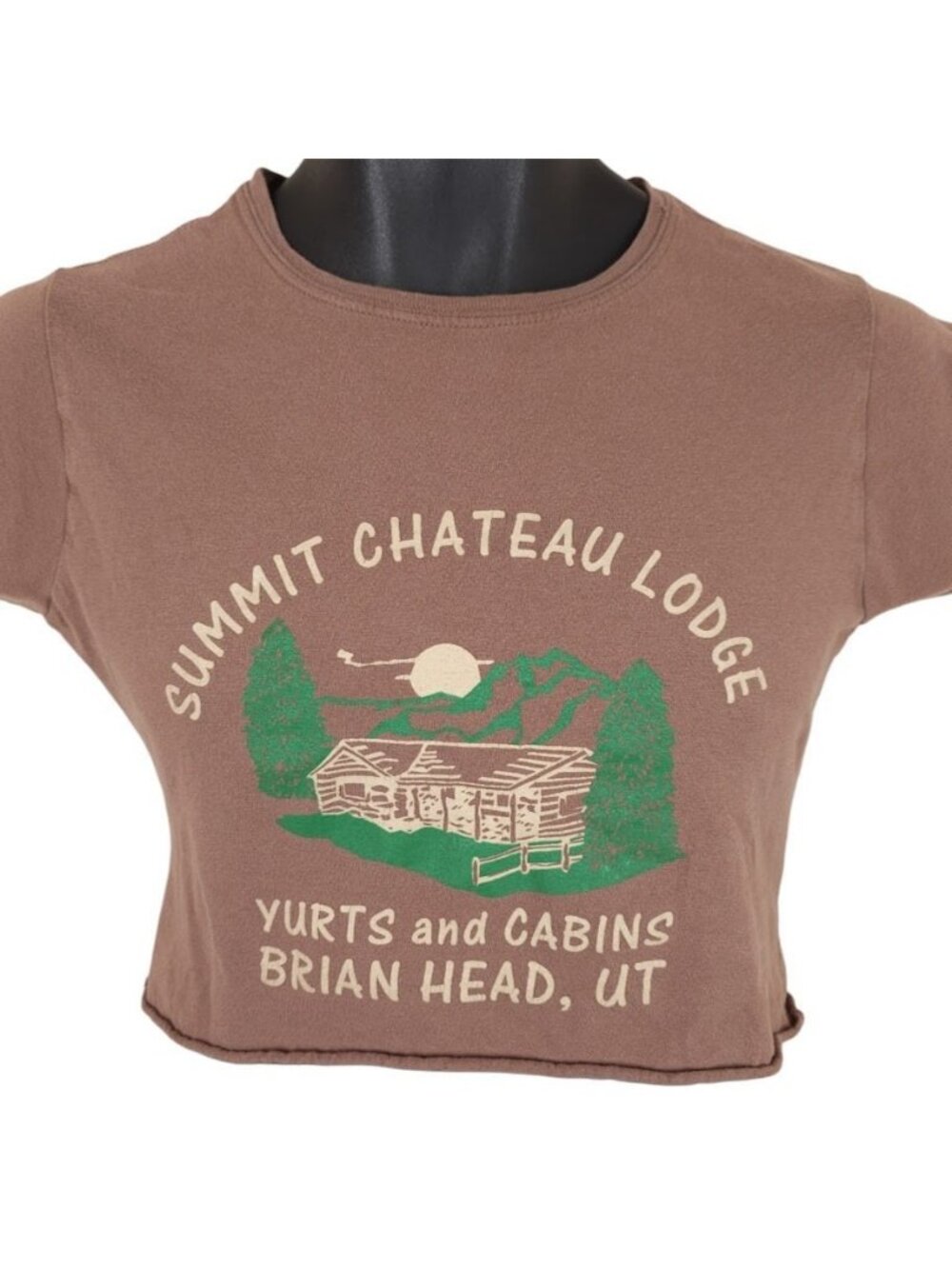 Summit Chateau Lodge Crop Top T Shirt Womens Size Small Brown Brian Head Utah